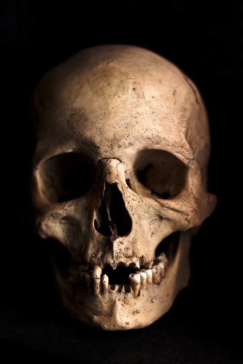 A skull